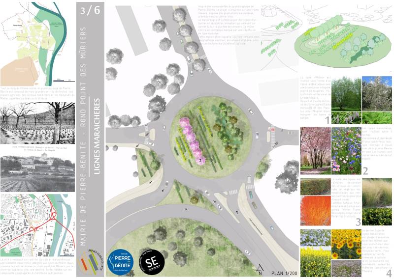 Proposition d'aménagement à destination de la mairie pour le rond point de Pierre Bénite