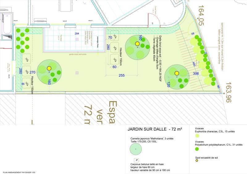 Aménagement d'un rez de jardin pour une copropriété d'immeuble à Lyon 7