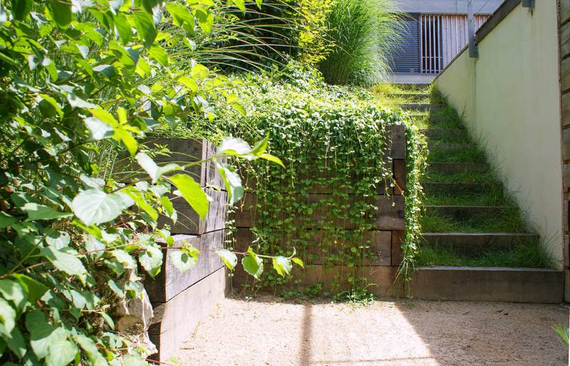 Aménagement d'un Jardin sur terrain pentu avec piscine, terrain de pétanque et espace végétal à Caluire près de Lyon