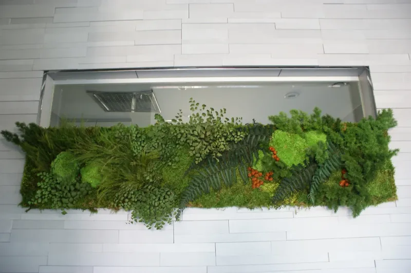 Aménagement Terrasse de 12m² avec plantes et miroir à Lyon 2
